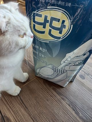 크집사의레시피 - 단단모래 — 5점을 준 리뷰어가 2021년 11월 올린 사용 사진
