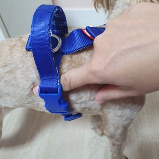 아코맘님이 올린 리뷰 사진 2