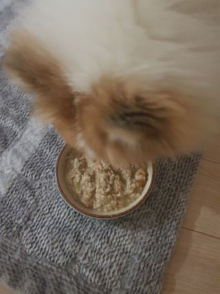 이긍정님이 올린 리뷰 사진 1
