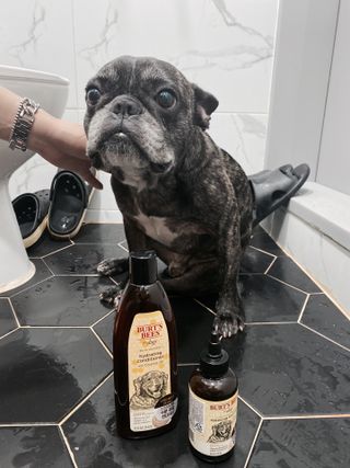 JoJungYeon님이 올린 리뷰 사진 1