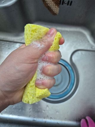 수둥이님이 올린 리뷰 사진 2