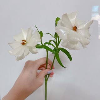 0.8L 마케팅팀 - — 5점을 준 리뷰어가 2021년 5월 올린 사용 사진