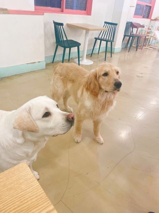 연쨩님이 올린 리뷰 사진 1