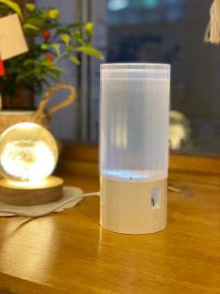 ann님이 올린 리뷰 사진 3