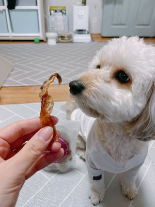 연쨩님이 올린 리뷰 사진 1
