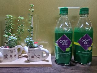 몽베스트 Montbest with Sparkling water Lime20병 — 5점을 준 리뷰어가 2022년 5월 올린 사용 사진