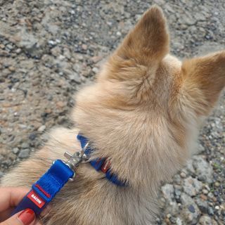 고유경님이 올린 리뷰 사진 1