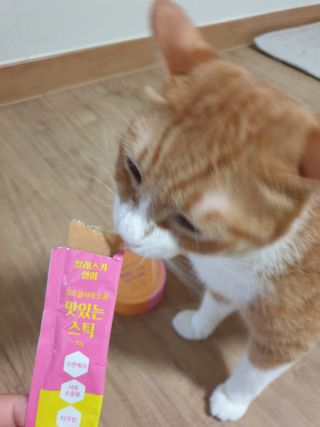 페페로니 맛있는 스틱 - 무항생제 닭고기 15개 + 알래스카 연어 15개 — 4.5점을 준 리뷰어가 2021년 8월 올린 사용 사진