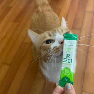 조이님이 올린 리뷰 사진 1