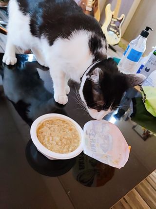 퓨리아님이 올린 리뷰 사진 4