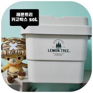모모님님이 올린 리뷰 사진 1