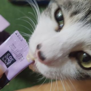 뇸뇸님이 올린 리뷰 사진 1