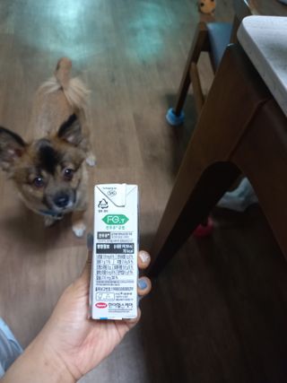 루비셀러님이 올린 리뷰 사진 1