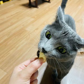 부르르펫 야미트릿 틸라피아 60g — 5점을 준 리뷰어가 2021년 10월 올린 사용 사진