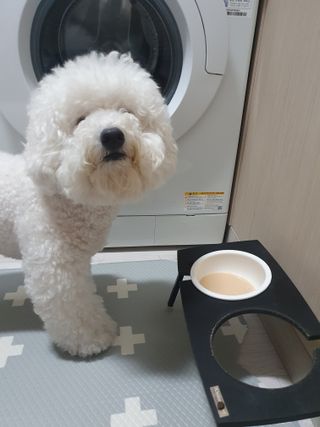 heeee님이 올린 리뷰 사진 2