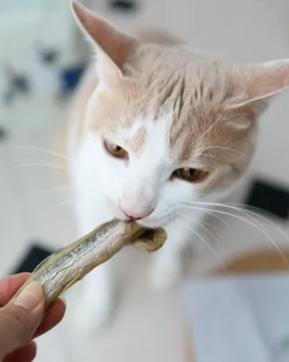 달바라기님이 올린 리뷰 사진 2