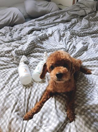 혼뚜님이 올린 리뷰 사진 1