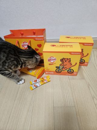 오니님이 올린 리뷰 사진 1