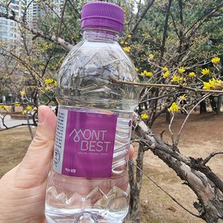 몽베스트 [MONTBEST] 330mL 20병 — 5점을 준 리뷰어가 2022년 3월 올린 사용 사진