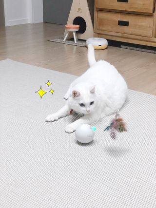 샤샤님이 올린 리뷰 사진 1