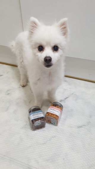 페페로니 진짜 오메가3 연어+소고기 180g+180g — 5점을 준 리뷰어가 2021년 7월 올린 사용 사진