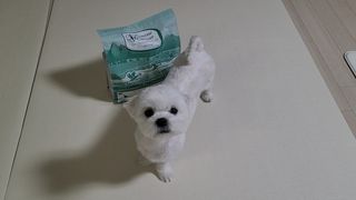 캐닌캐비어 알카라인 홀리스틱 그레이프리 앙뜨레 ALS_4종 오픈스카이, 와일드오션, 프리스피릿, 스페셜니즈 — 5점을 준 리뷰어가 2023년 2월 올린 사용 사진