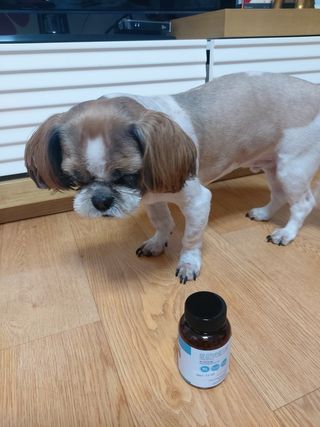 He님이 올린 리뷰 사진 3