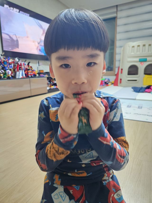 녹용보감 젤리스틱 리뷰 사진