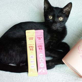 2019yaap님이 올린 리뷰 사진 1