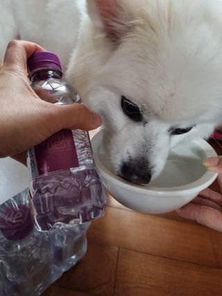 몽베스트 [MONTBEST] 330mL 20병 — 4점을 준 리뷰어가 2022년 4월 올린 사용 사진