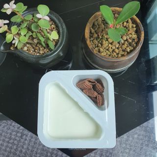 킴지님이 올린 리뷰 사진 3