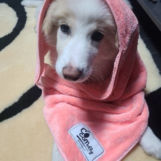 핑구님이 올린 리뷰 사진 2