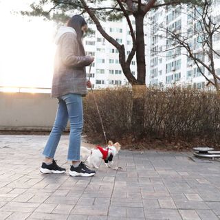 풋테크 지압신발 풋테크 건강 지압 운동화 FT20 — 5점을 준 리뷰어가 2021년 2월 올린 사용 사진