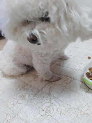 두근하하님이 올린 리뷰 사진 4