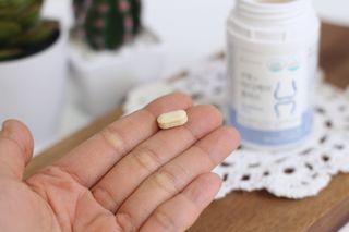 프리마인 평생 써야하는 관절의 건강을 위한 완벽설계 솔루션 관절n마디케어 플러스 120정 — 5점을 준 리뷰어가 2021년 12월 올린 사용 사진