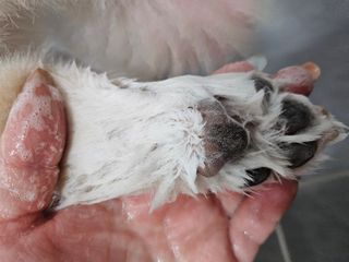 최수연님이 올린 리뷰 사진 4