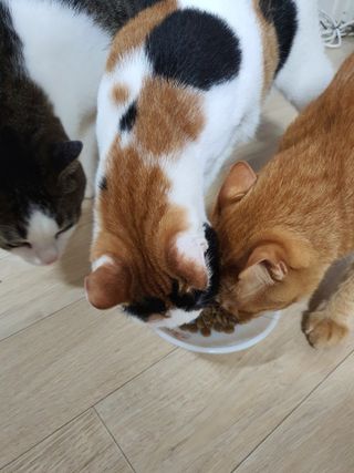 함미선님이 올린 리뷰 사진 1
