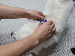 윤윤님이 올린 리뷰 사진 2