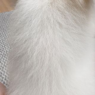 KyungEunMin님이 올린 리뷰 사진 4