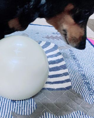 트라택 쿠셔닝 웨이트볼 0.5kg + 1kg SET — 5점을 준 리뷰어가 2022년 6월 올린 사용 사진