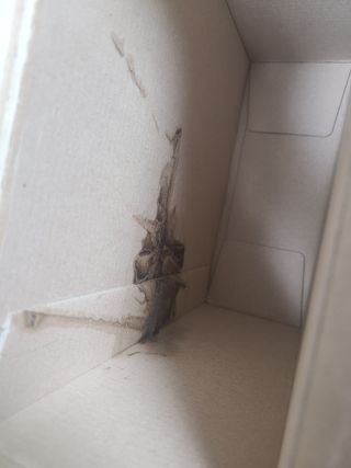 서울에프엔비 온통두유 서리태 고칼슘 190mL — 5점을 준 리뷰어가 2021년 11월 올린 사용 사진
