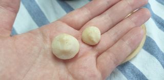 도이퉁 마카다미아 넛 90g  로얄 마카넛 오리지널 쏠트 허니 — 5점을 준 리뷰어가 2021년 3월 올린 사용 사진