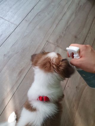 이쁜정똥이님이 올린 리뷰 사진 3