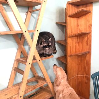 쪼다님이 올린 리뷰 사진 3