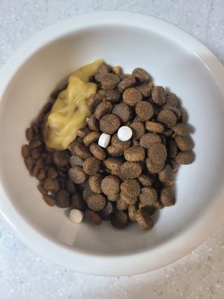 사공명님이 올린 리뷰 사진 3