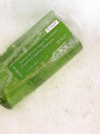 닥터시드 티트리 앤 라임 비건 지성케어 쿨 탈모 샴푸 (1000ml) — 4점을 준 리뷰어가 2024년 4월 올린 사용 사진