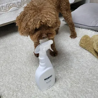 복깨비님이 올린 리뷰 사진 1