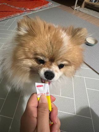 ari님이 올린 리뷰 사진 2
