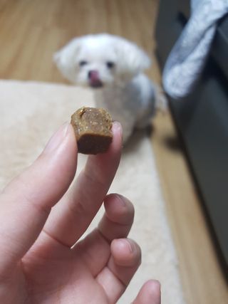 My Pet Care 천연단백질 관절건강에 개좋아 — 5점을 준 리뷰어가 2021년 3월 올린 사용 사진