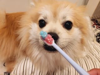 좋아님이 올린 리뷰 사진 1